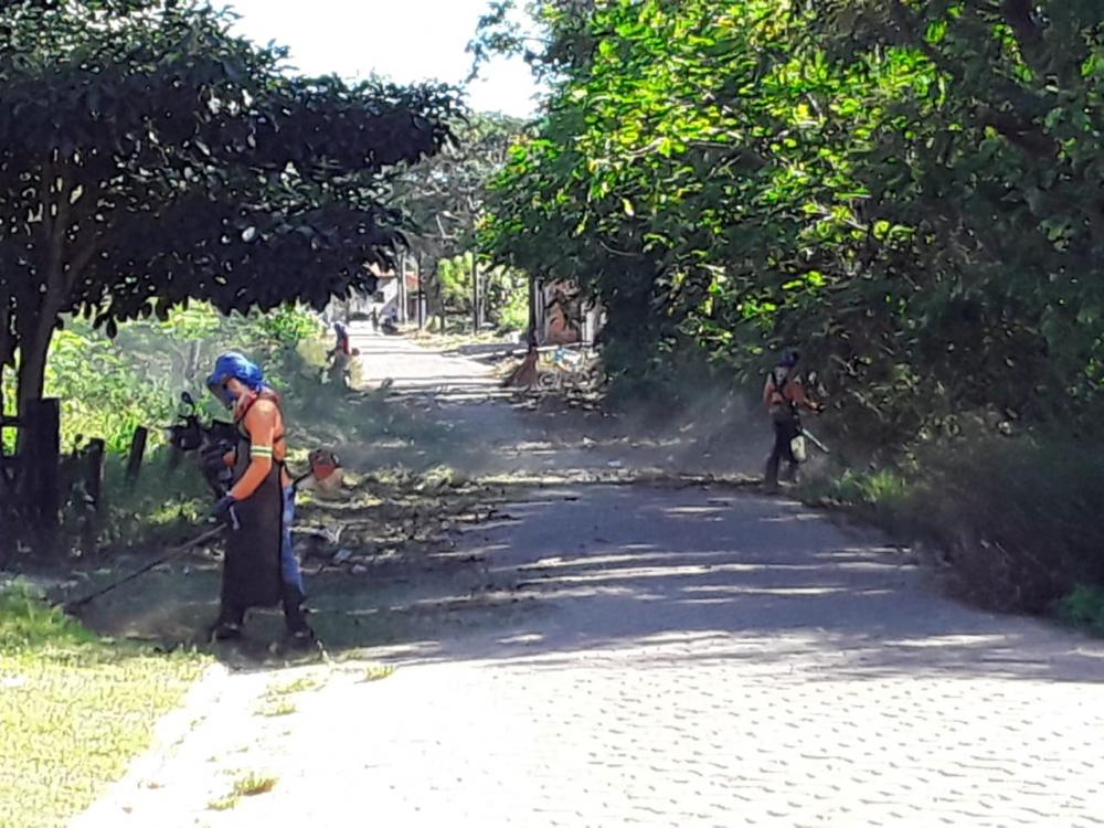 Semana começa com frentes de serviços de roço e limpeza no bairro Planalto em Davinópolis