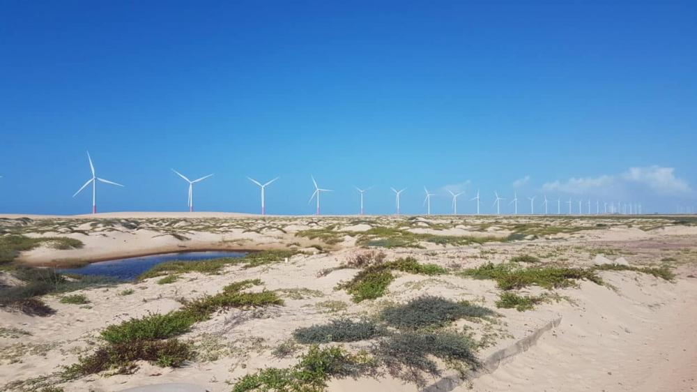 Maranhão produziu 181 megawatts de energia eólica em janeiro deste ano