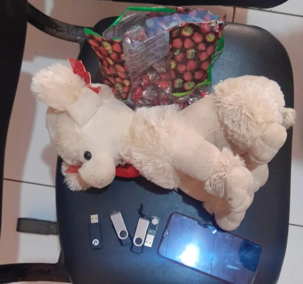 Criança é estuprada por idoso de 83 anos na cidade de Igarapé do Meio - MA