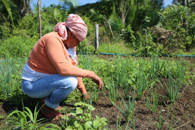Campos produtivos incrementam a vida das comunidades quilombolas no Maranhão