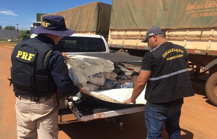 Mais de 350 kg de carne é apreendida pela PRF em transporte irregular em Balsas - MA