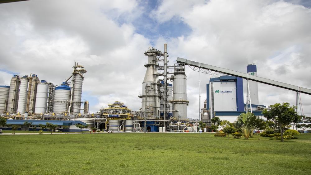 Suzano lança no Maranhão, programa de qualificação para mulheres em análise de dados