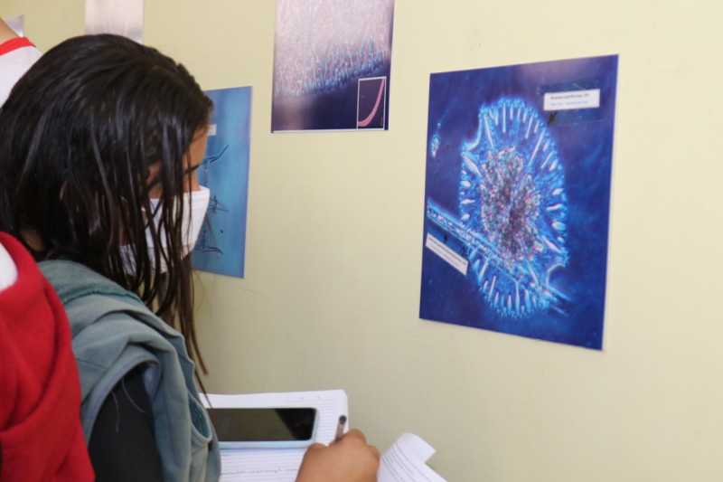 Projeto de extensão da UEMASUL debate a biodiversidade do rio Tocantins