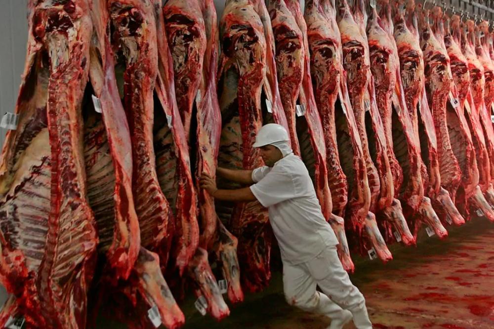Com exportação suspensa, preço da carne bovina cai em meio ao 