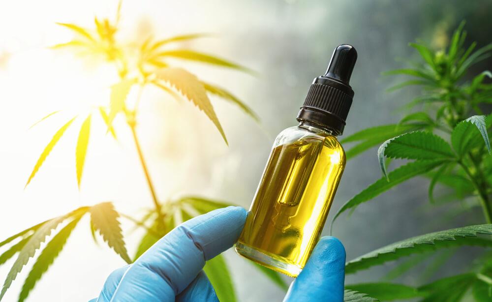 Em meio a discussão sobre a flexibilização da maconha, Anvisa aprova comercialização de Extrato de Cannabis