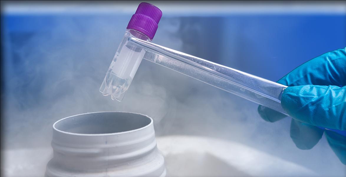 Nordeste e Norte reúnem apenas 12% dos embriões congelados do país