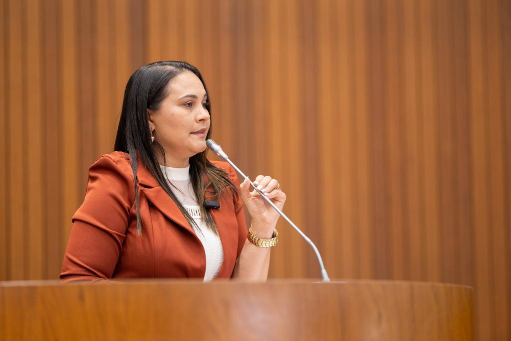 Edna Silva solicita obras de infraestrutura para Santa Luzia, Bom Jardim, Bom Jesus das Selvas e Buriticupu