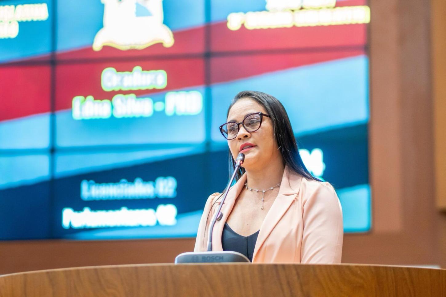 Deputada Edna Silva agradece Brandão e defende parceria para enfrentar o problema das voçorocas