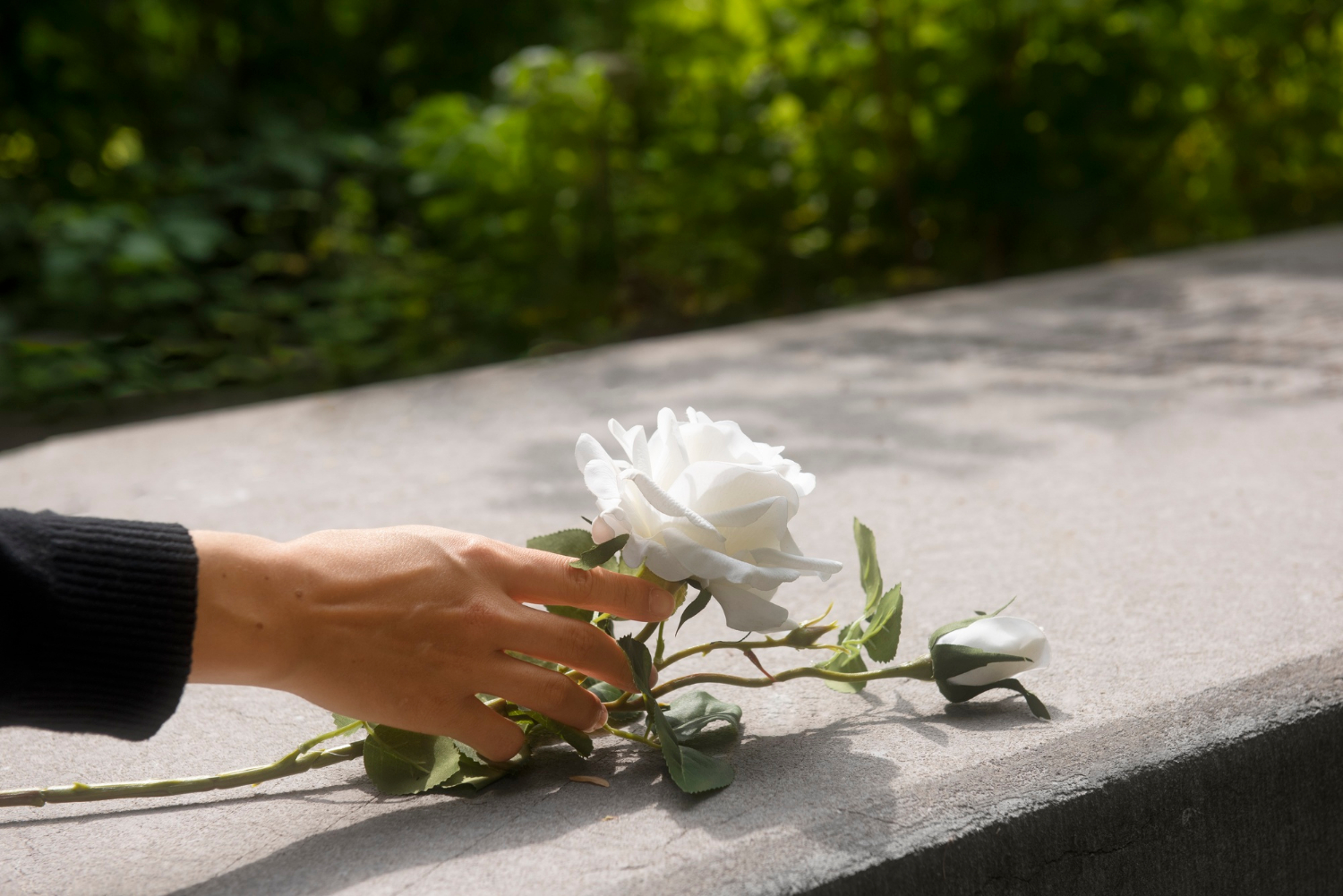 Ciclo Assist oferece assistência funeral personalizada
