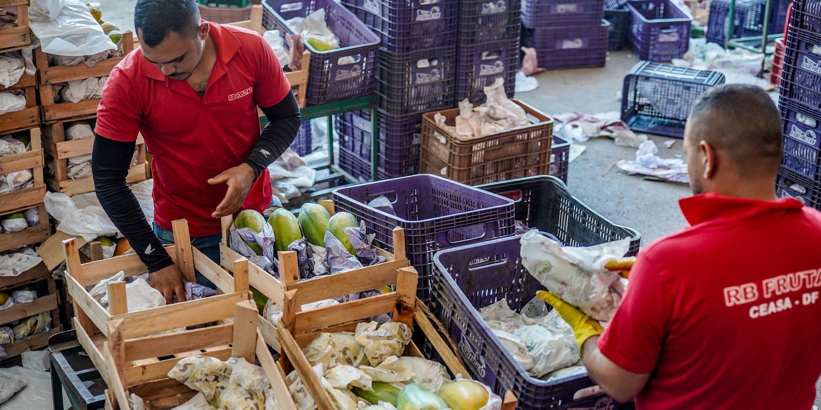 Plano Safra da Agricultura Familiar 2026/2027 destina R$ 97,3 bilhões em crédito