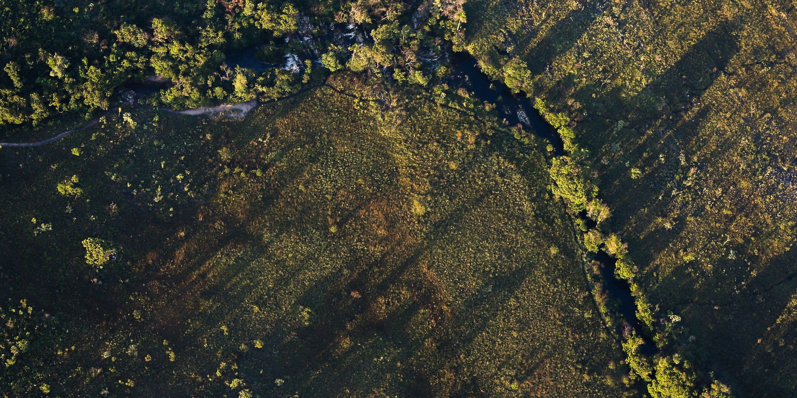 CMN aprova juros reduzidos para financiamentos rurais sustentáveis na safra 2026/2027