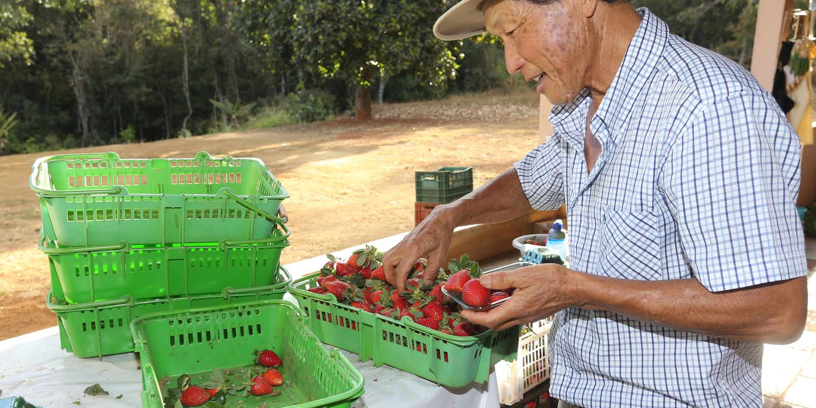 Finep destina R$ 220 milhões para impulsionar inovação na agricultura familiar e aquicultura