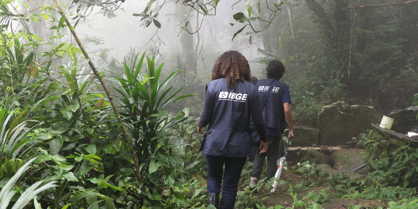 Inscrições para vagas temporárias do IBGE no Censo Agropecuário encerram hoje