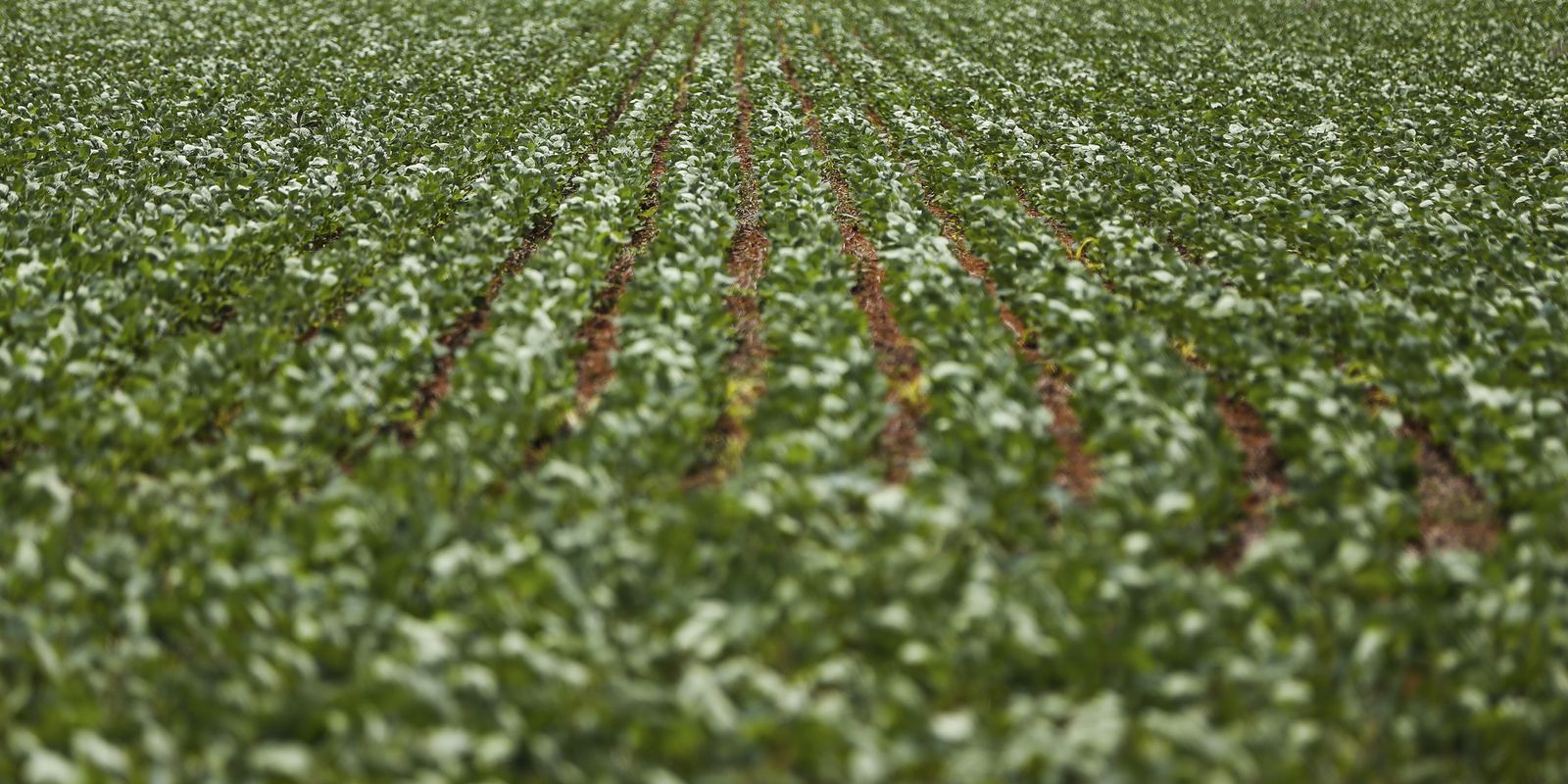 Governo e bancada do agro encerram reunião sem acordo sobre renegociação de dívidas rurais