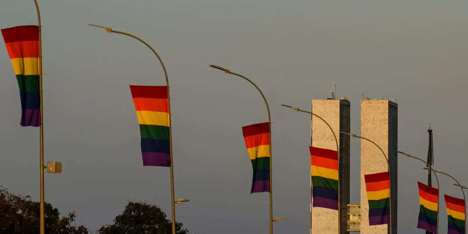 Presença de candidaturas LGBT+ atinge nível recorde nas eleições 2026 e avança em diferentes partidos políticos
