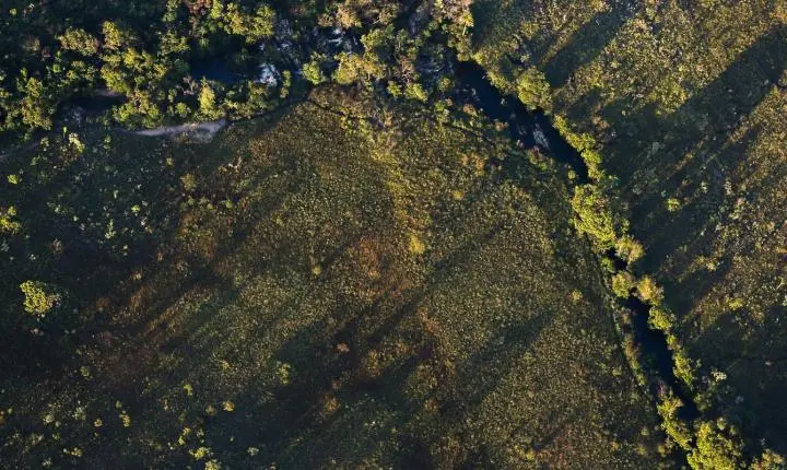 CMN aprova juros reduzidos para financiamentos rurais sustentáveis na safra 2026/2027