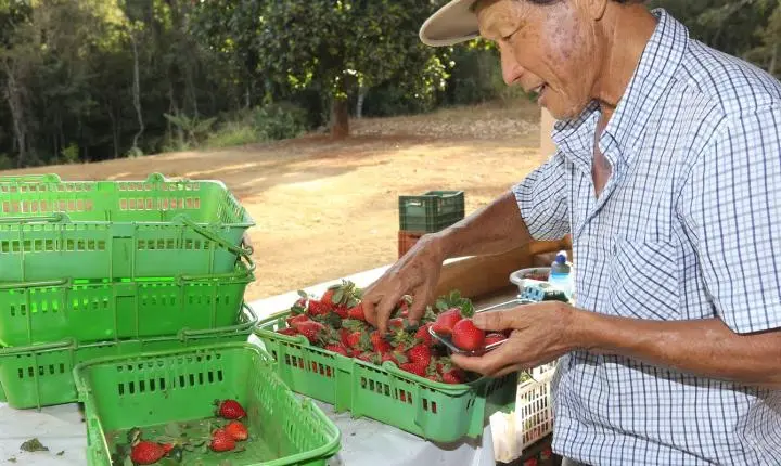 Finep destina R$ 220 milhões para impulsionar inovação na agricultura familiar e aquicultura