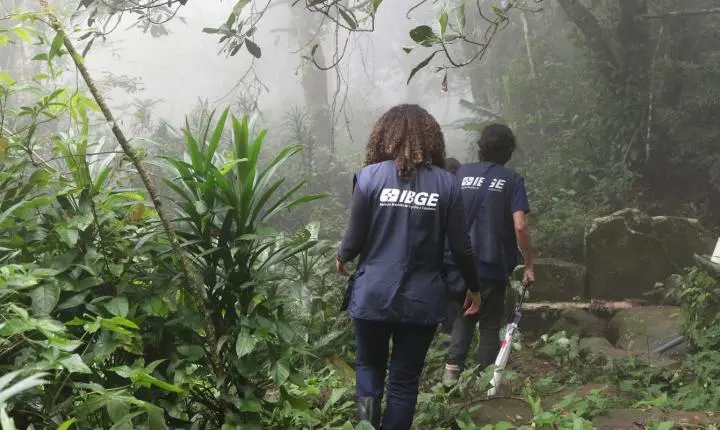 Inscrições para vagas temporárias do IBGE no Censo Agropecuário encerram hoje