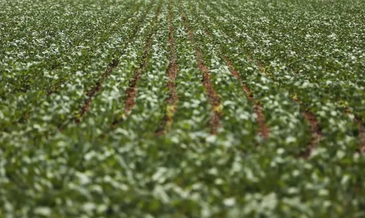 Governo e bancada do agro encerram reunião sem acordo sobre renegociação de dívidas rurais